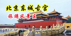 午夜寂寞黄片?中国北京-东城古宫旅游风景区